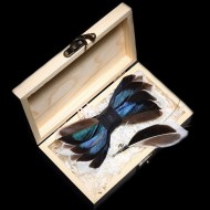 Peteliškės rinkinys "P8"